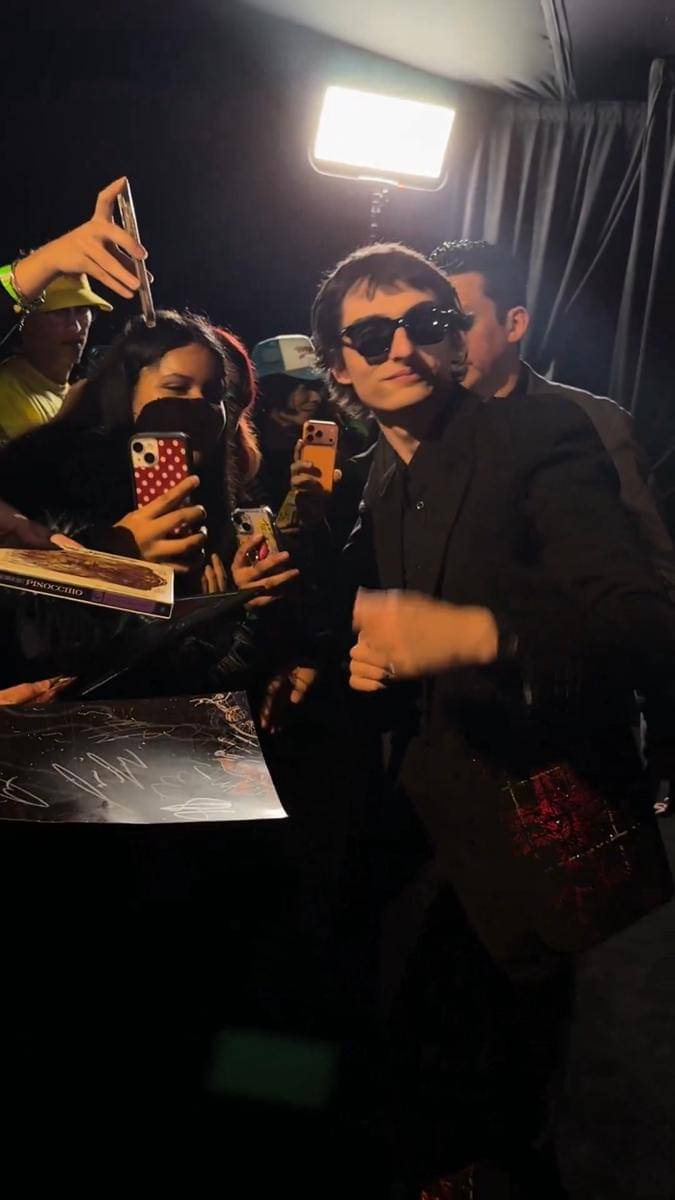 red carpet Stranger Things 5