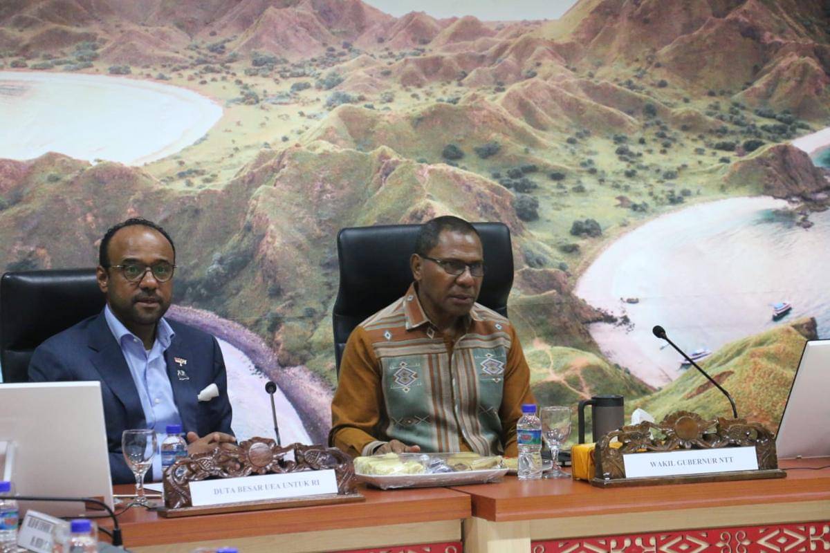 Dubes UEA untuk Indonesia.