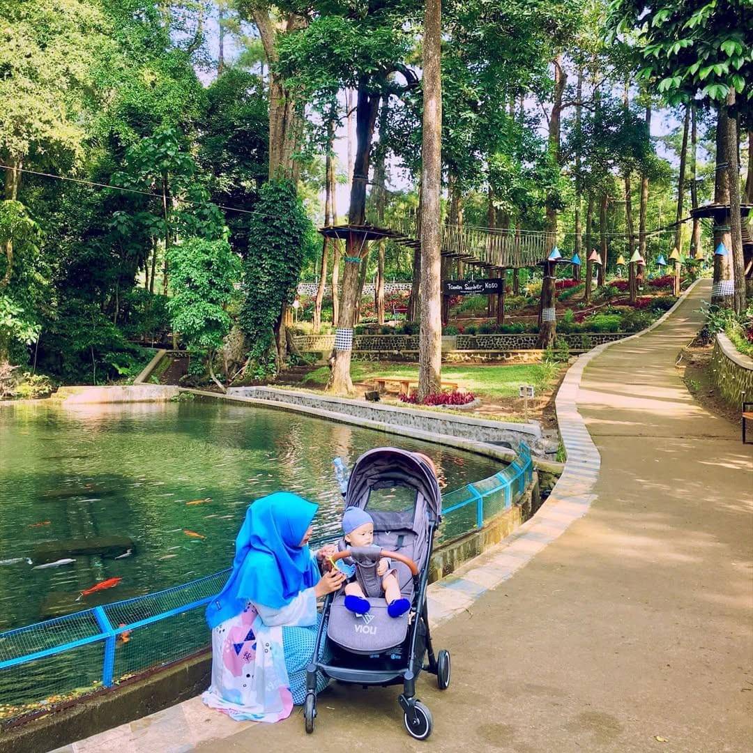 Violi Stroller Autofold