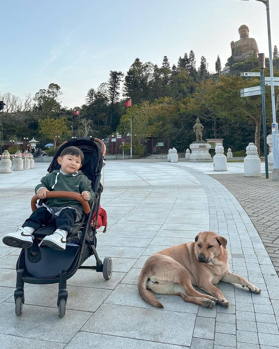 Violi Stroller Travelite