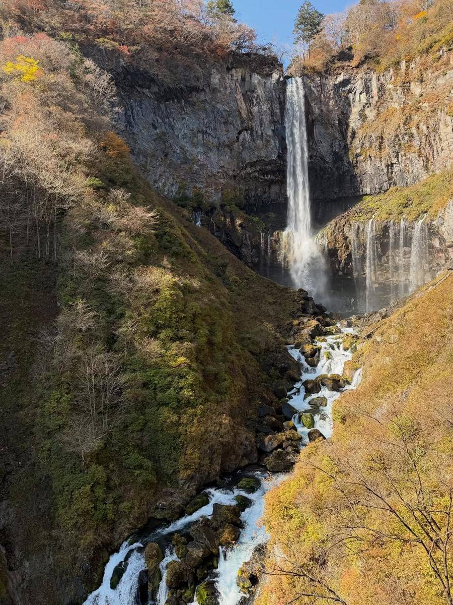 Winona Willy dan keluarga jalan-jalan ke Nikko Nat Park