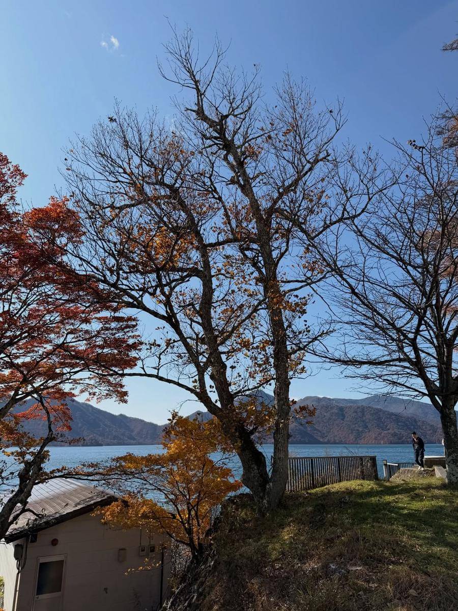 Winona Willy dan keluarga jalan-jalan ke Nikko Nat Park