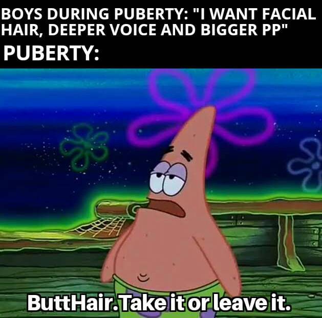 meme SpongeBob tentang masa puber