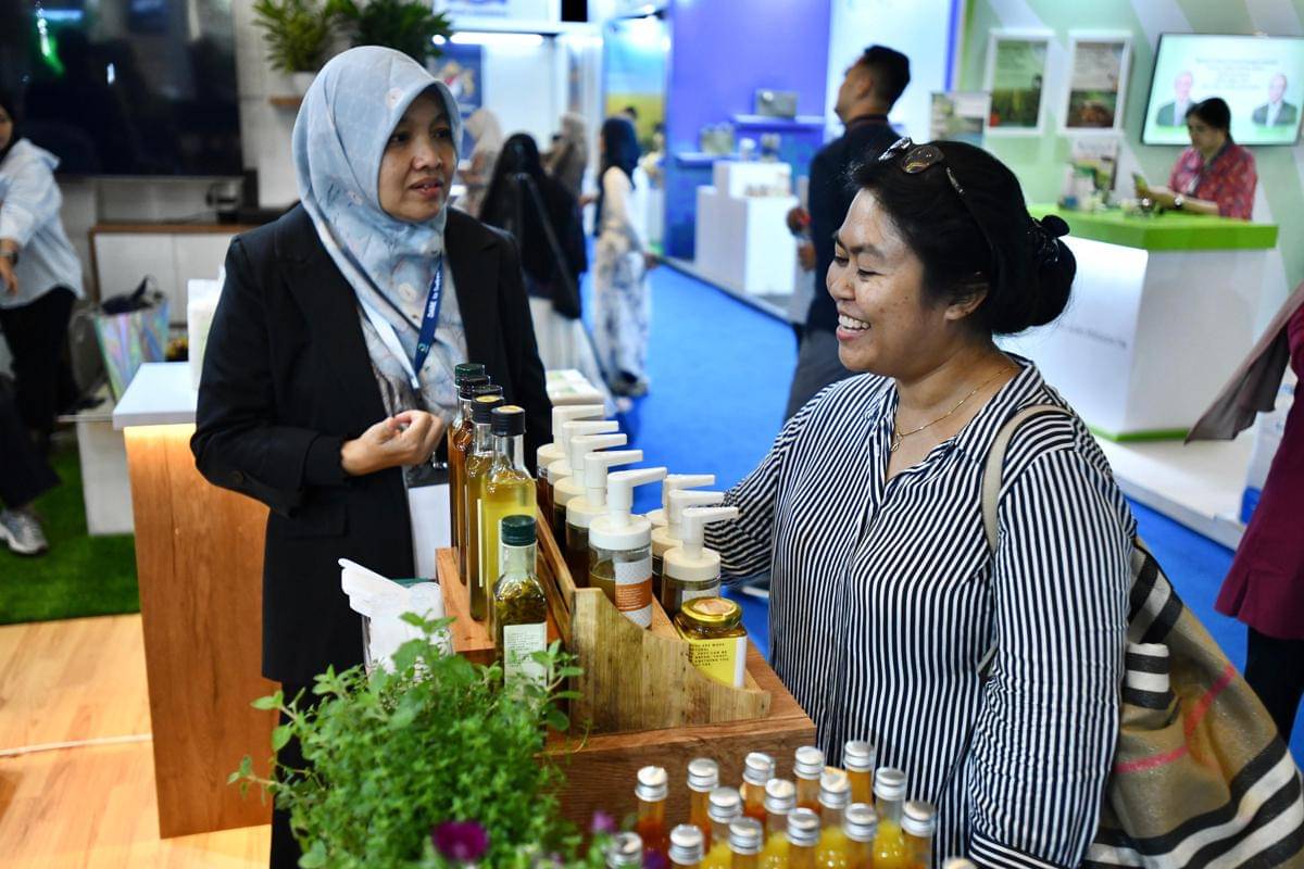 WhatsApp Image 2025-11-08 at 13.55.50.jpeg