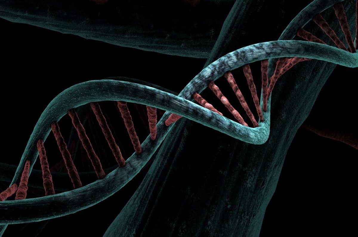 ilustrasi DNA