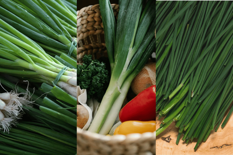 Potret daun bawang, bawang prei, dan kucai 