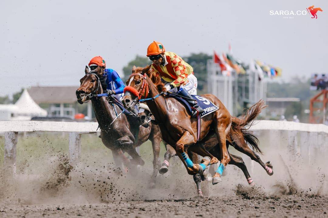 Pordasi: Pacuan Kuda Bisa Dinikmati Semua Kalangan, Bukan Cuma Orang Kaya