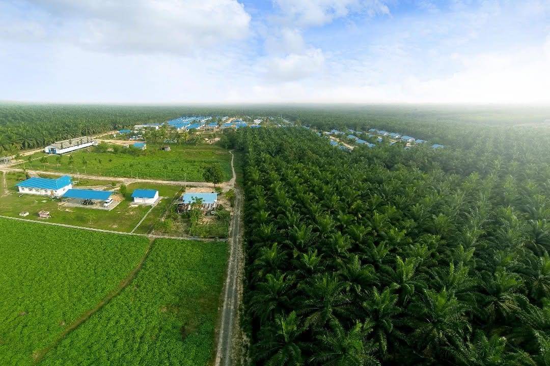 PT Salim Ivomas Pratama Tbk