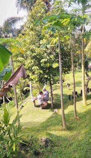 tempat istirahat di dekat Air Terjun Titi (googleusercontent.com/TITI WATERFFALL)