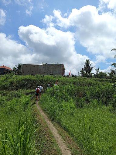 jalan setapak ke Air Terjun Titi (googleusercontent.com/TITI WATERFALL)