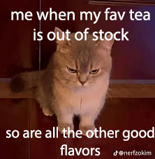 meme kucing tentang teh