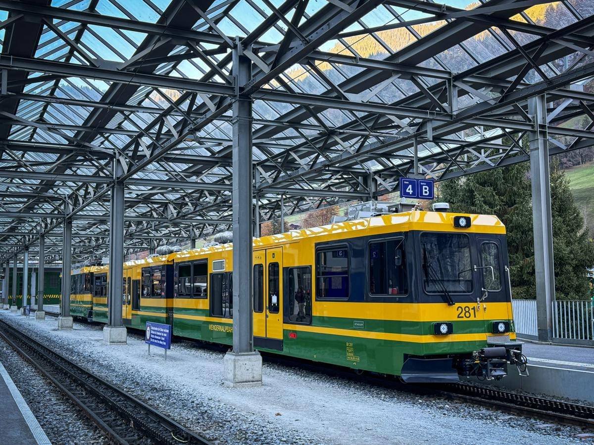 hal yang perlu kamu lakukan di Griendelwald