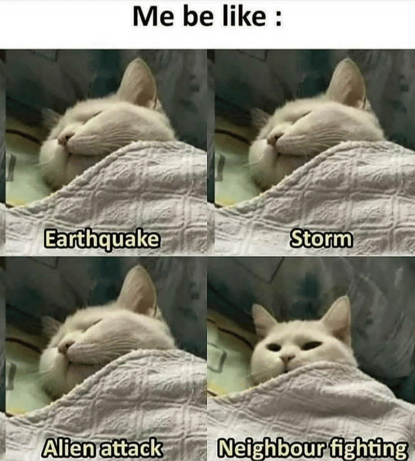 meme kepo sama tetangga yang lagi berantem