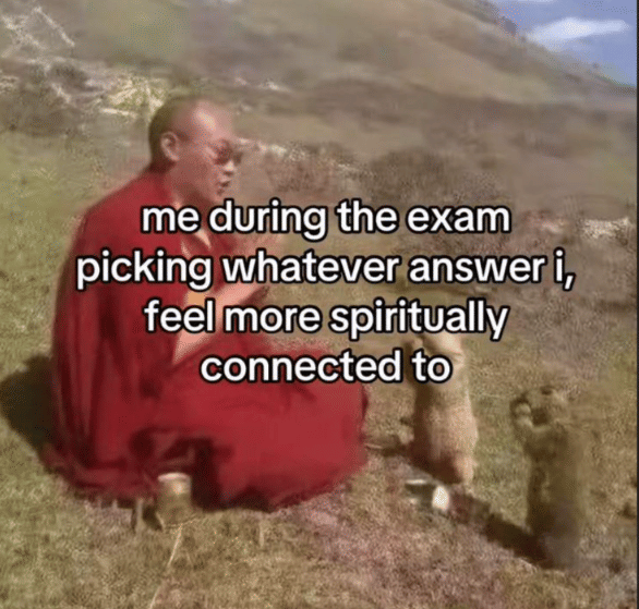 meme menjawab soal pilihan ganda