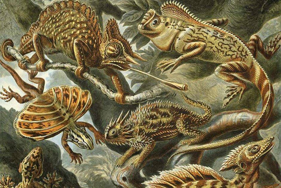 ilustrasi reptil di masa lalu