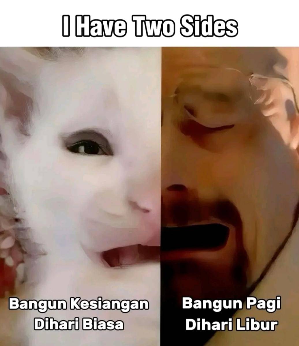 meme bangun kesiangan