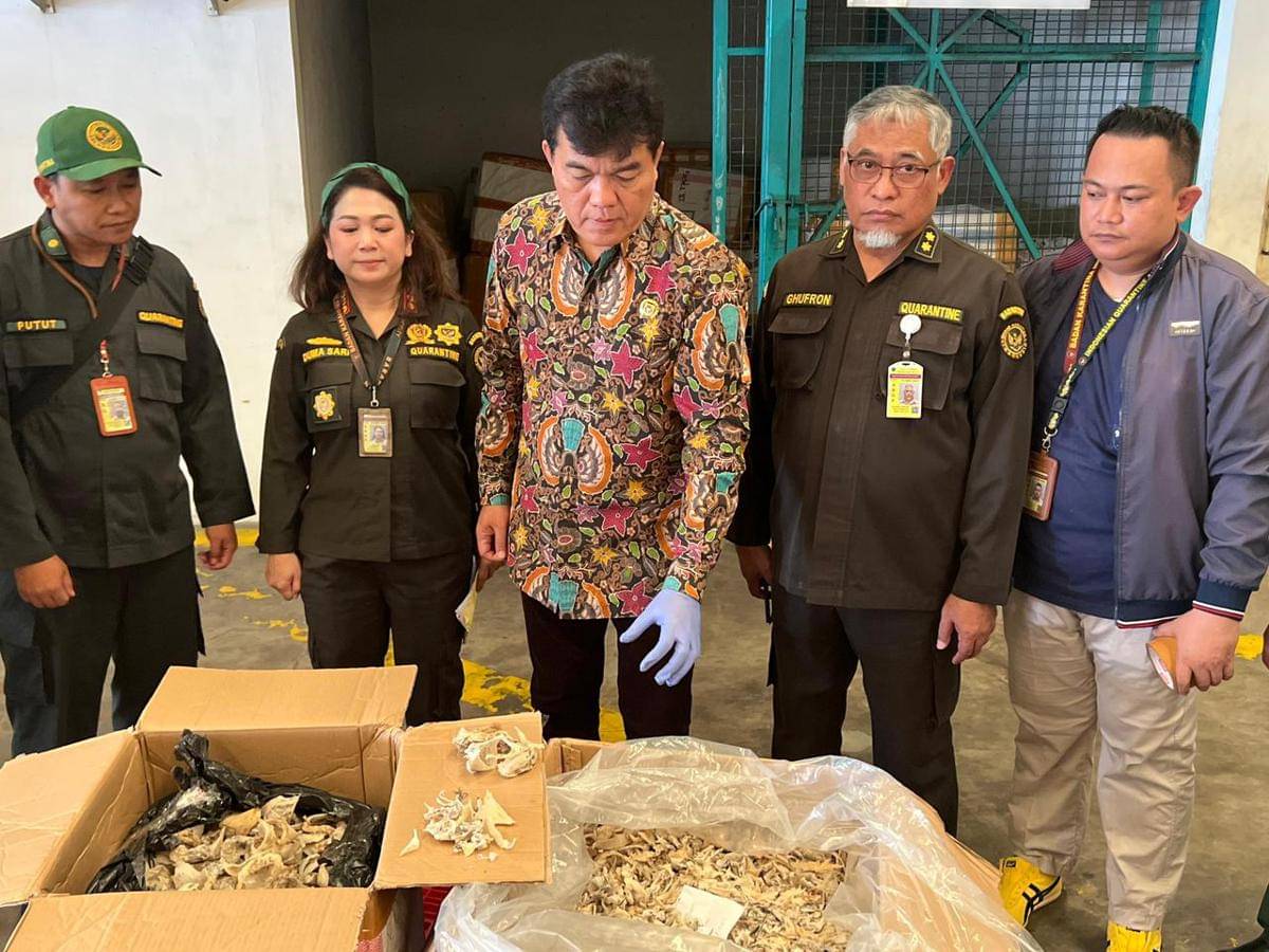 Barantin bongkar pratik kecurangan ekspor sarang burung walet ke Vietnam 