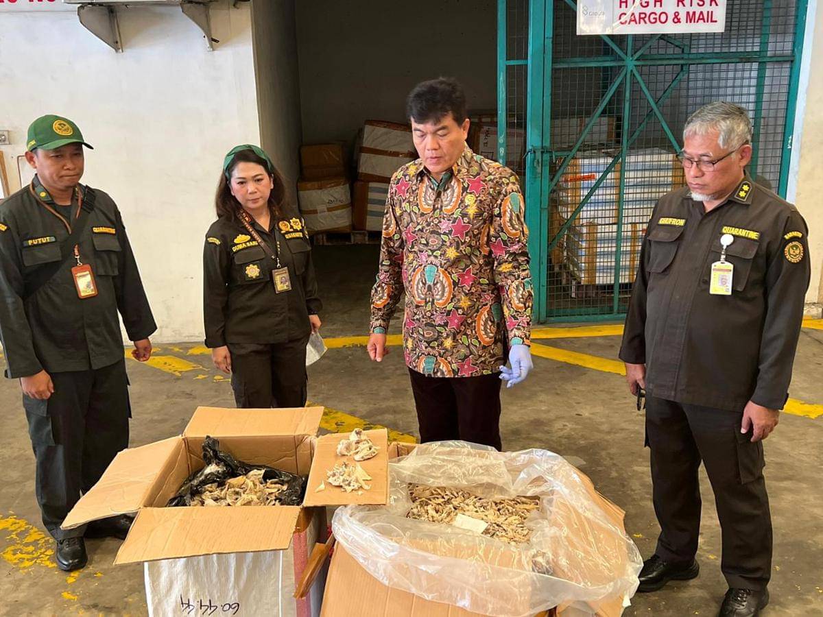 Barantin bongkar pratik kecurangan ekspor sarang burung walet ke Vietnam 