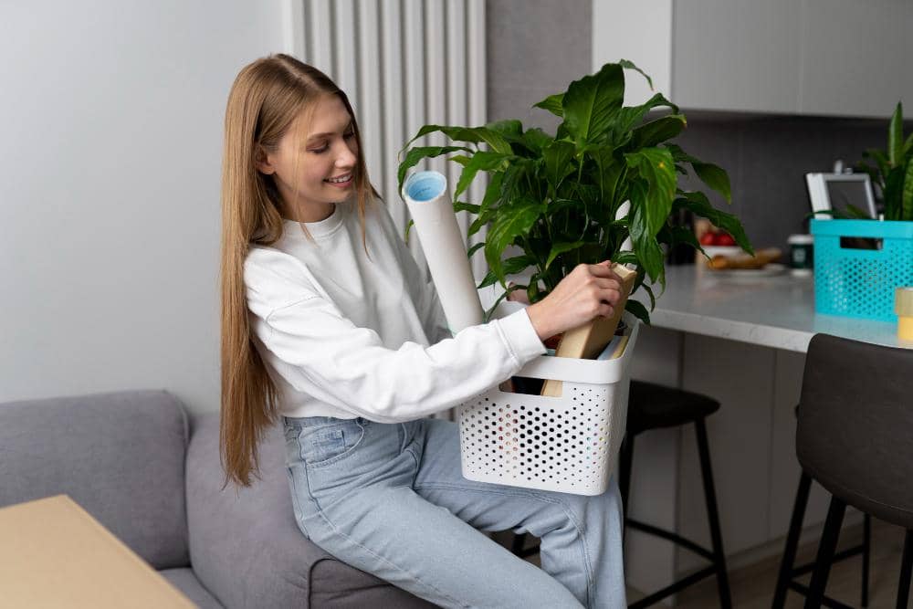 ilustrasi perempuan merapikan meja