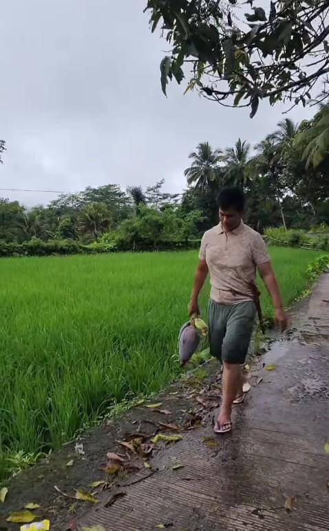 Ayah Lesti Kejora yang Aktif Bersawah (instagram.com/ayah_kejora)