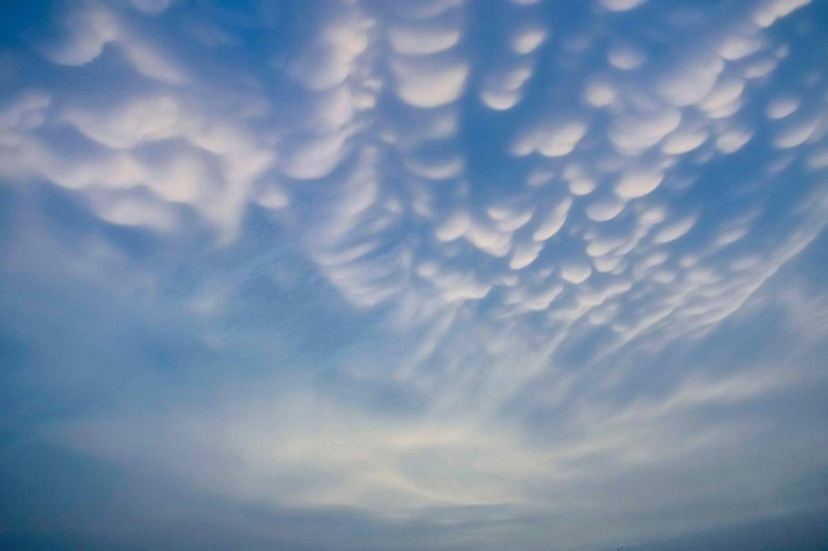 Awan Mammatus 