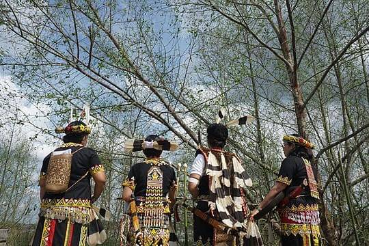 Ilustrasi masyarakat adat di hutan adat