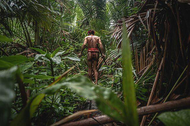 Ilustrasi masyarakat adat menjaga keberlanjutan keanekaragaman hayati melalui penetapan kawasan hutan adat