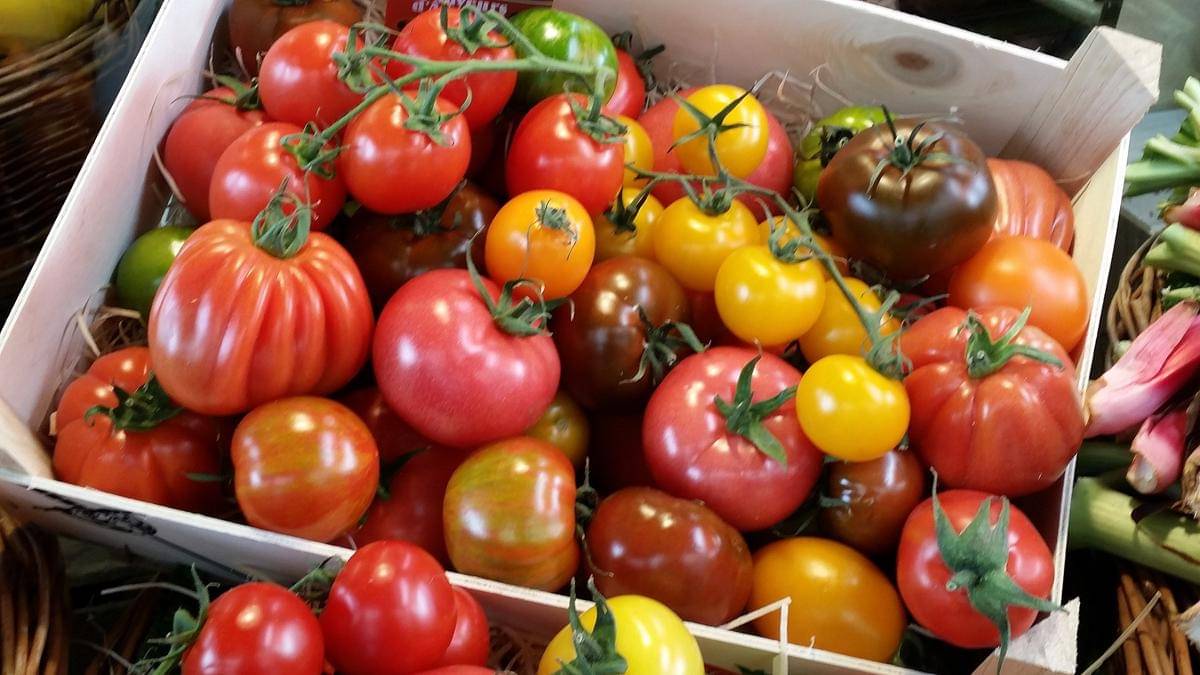 kenapa disebut nasi tempong