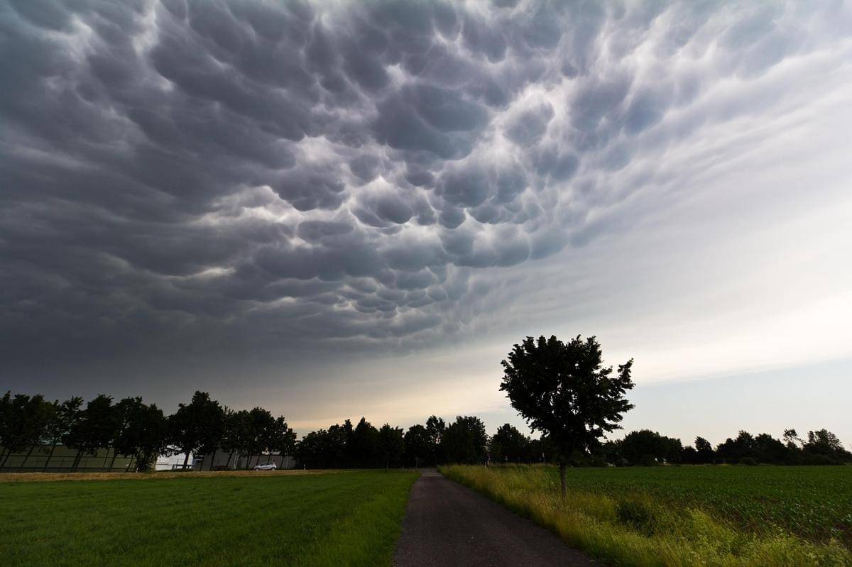 Potret awan mammatus