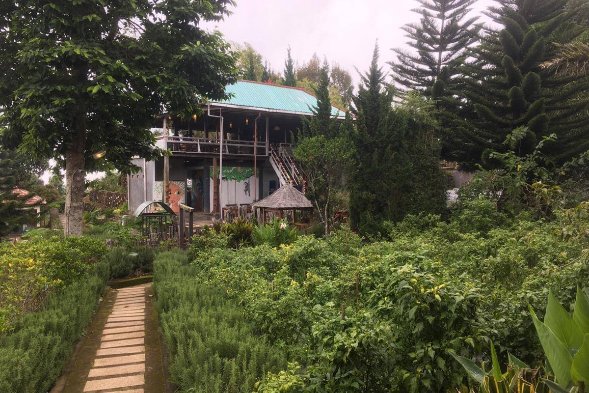 salah satu penginapan dengan kebun sendiri di Desa Munduk