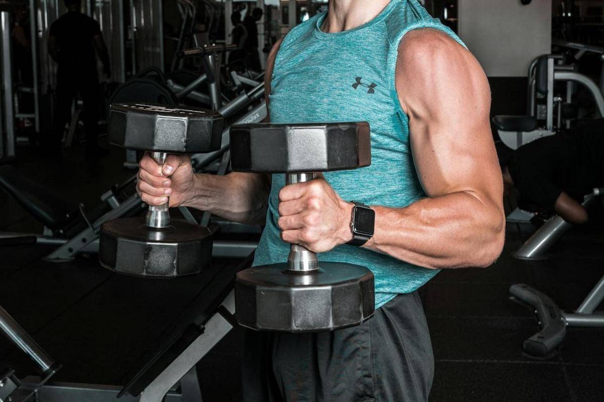 ilustrasi hammer curl 