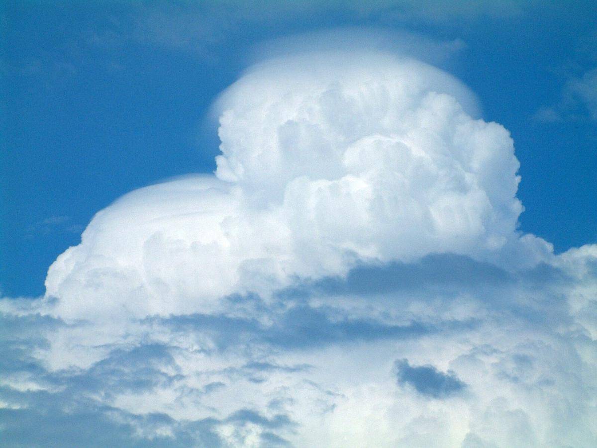 Awan Pileus 