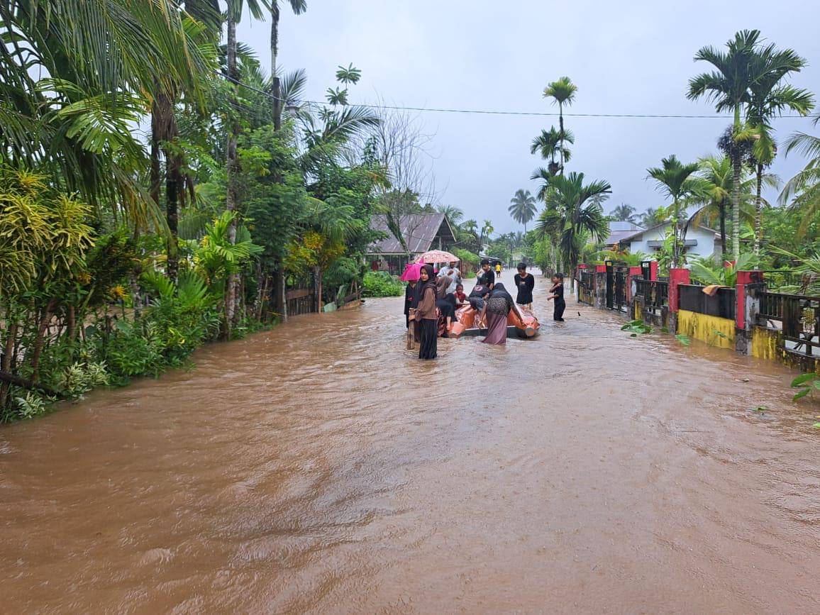 WhatsApp Image 2025-11-11 at 18.03.10.jpeg