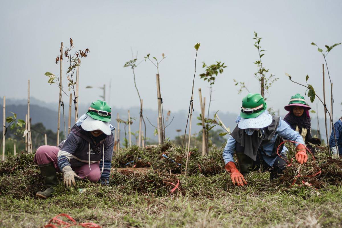 WhatsApp Image 2025-11-11 at 09.26.48_493e006a.jpg