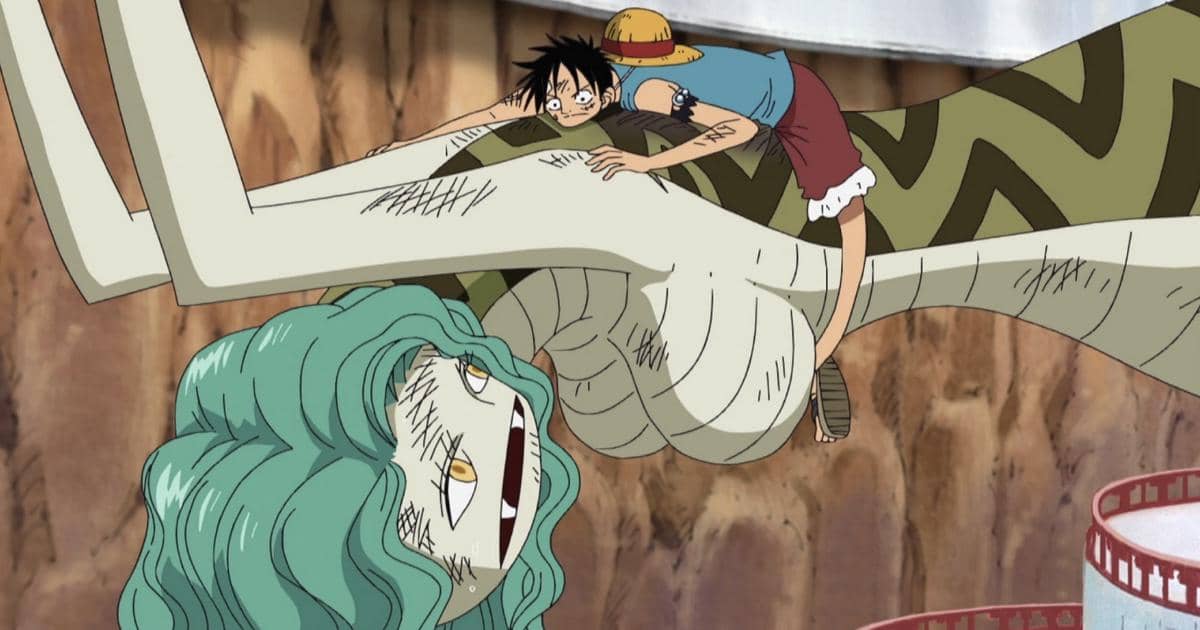 Luffy menyelamatkan Sandersonia