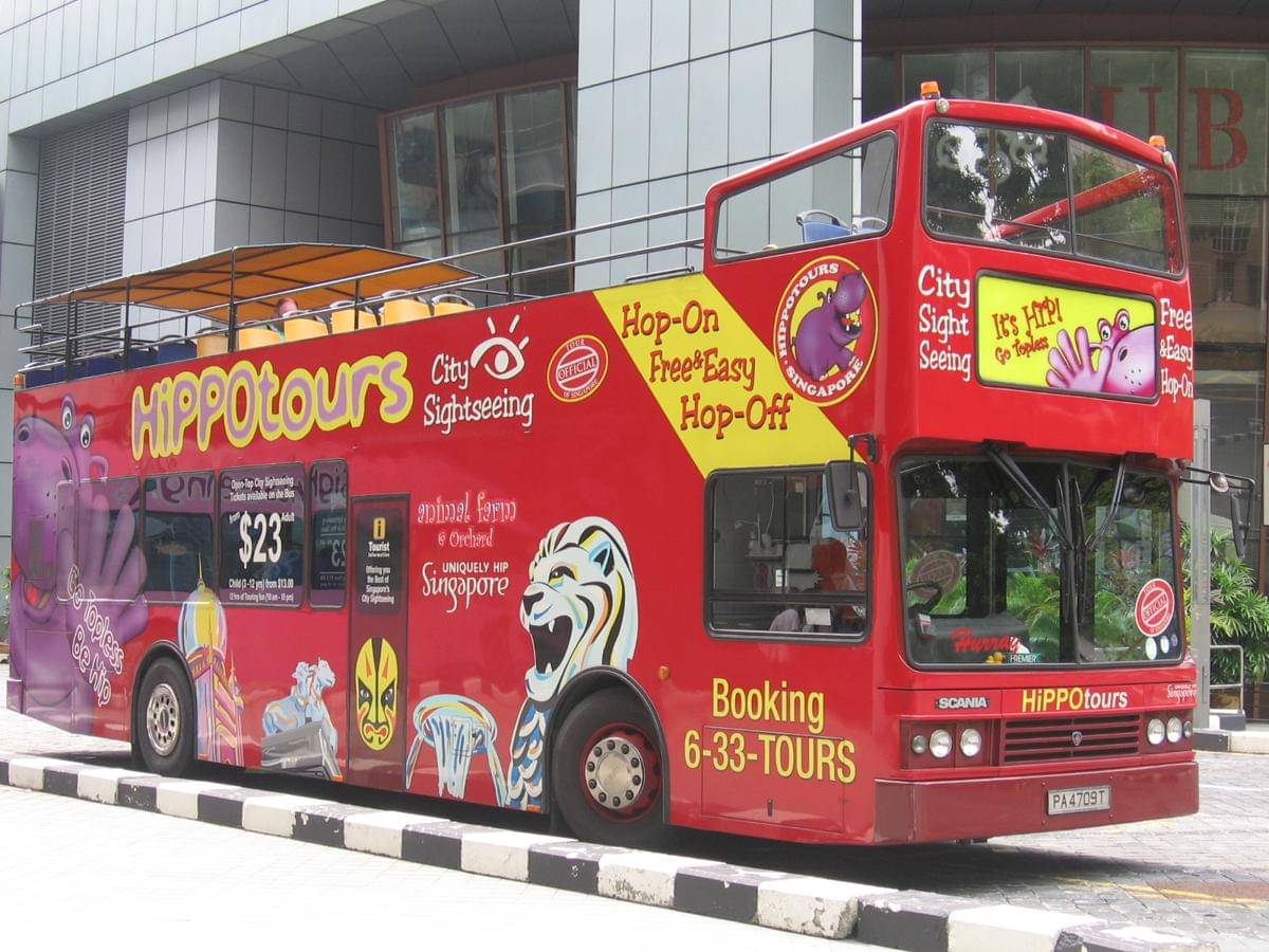 ilustrasi bus wisata hop on hop off 