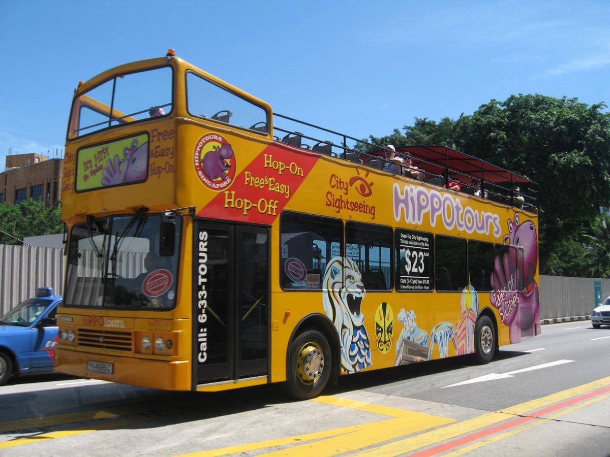 ilustrasi potret bus wisata hop on hop off