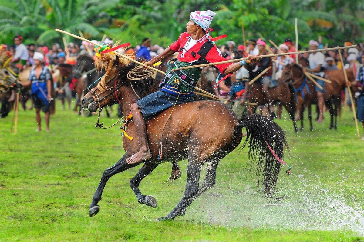 Ritual perang tombak Pasola di Sumba