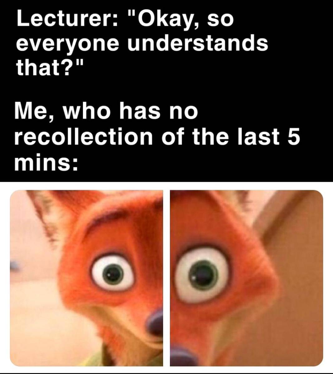 meme kartun tentang kelas online