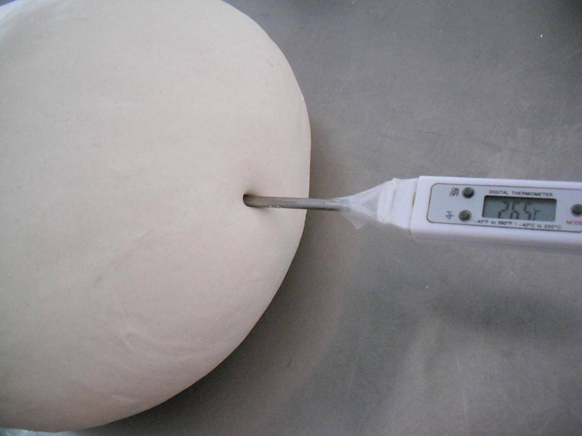 ilustrasi fermentasi sourdough 