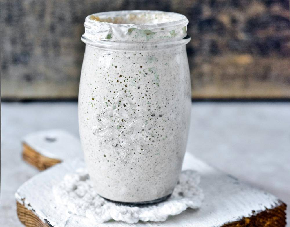 ilustrasi sourdough starter 