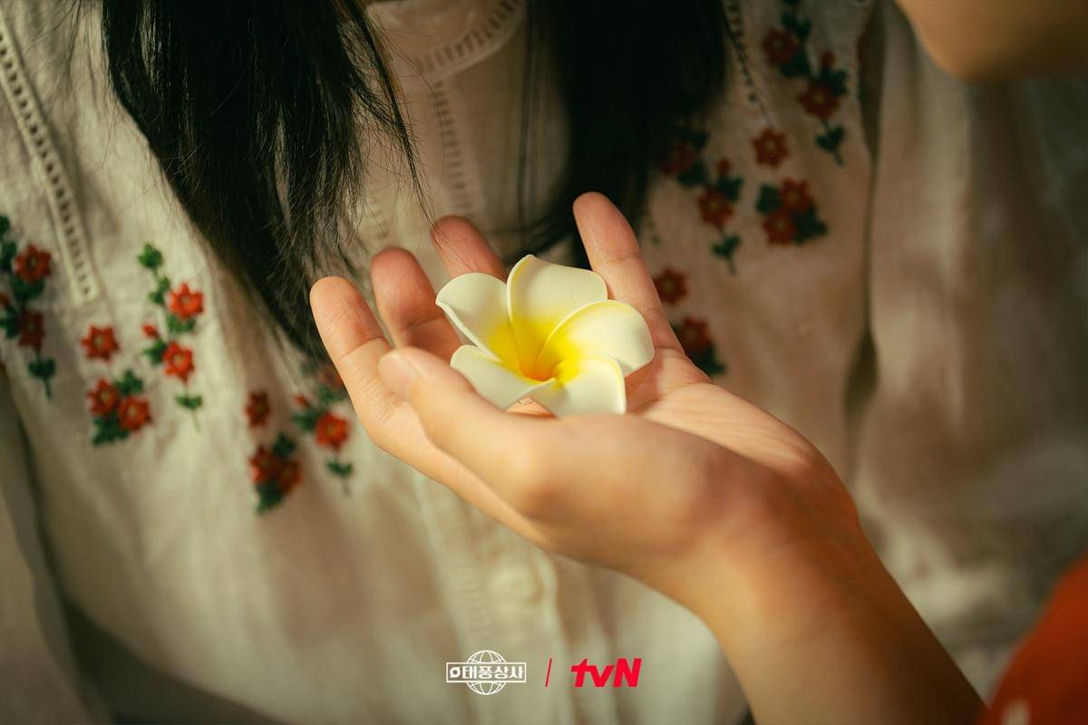 cuplikan drama Typhoon Family