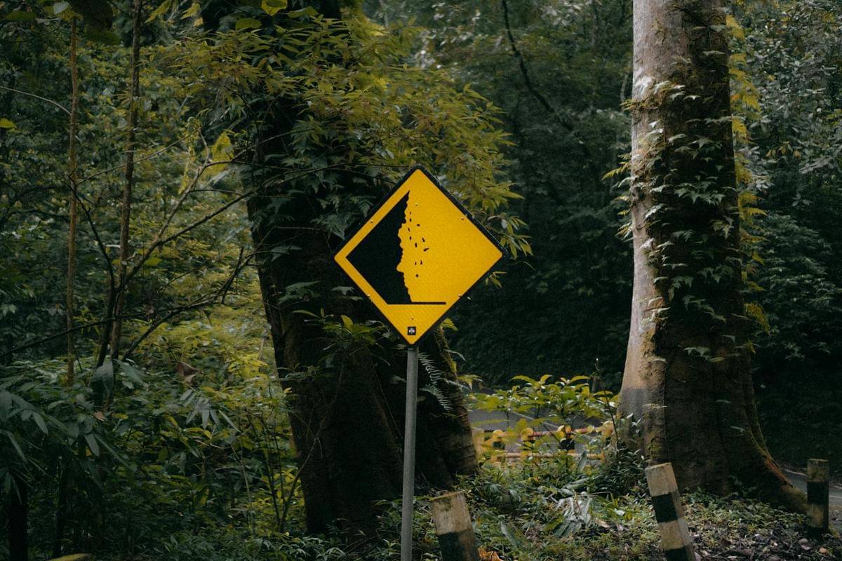 ilustrasi area rawan longsor