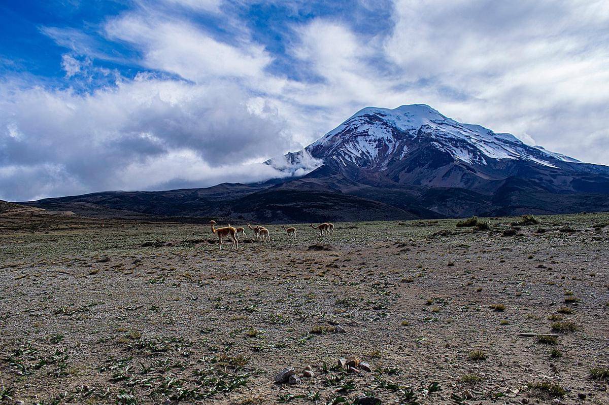 Gunung Chimborazo
