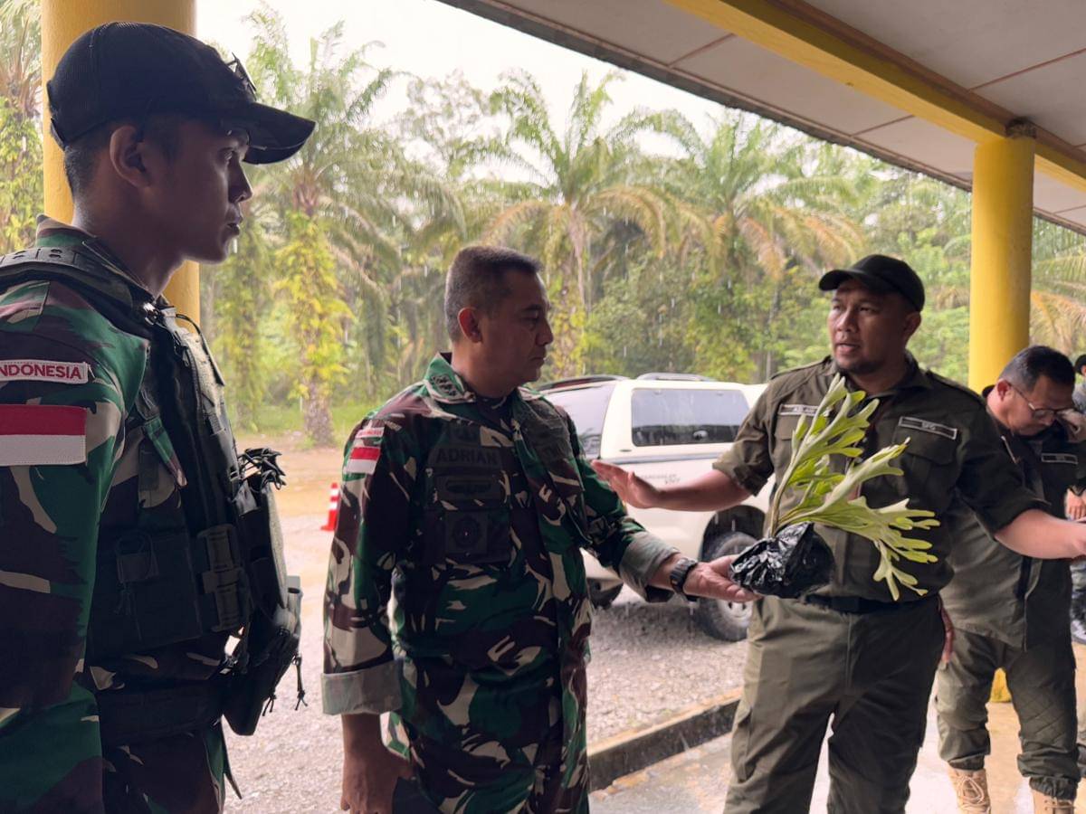 Tim gabungan temukan tanaman dilindungi.