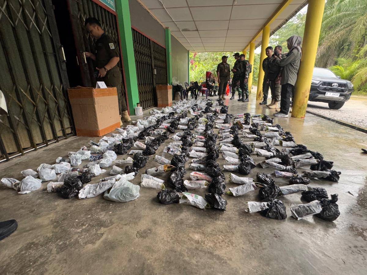 Ratusan tanaman tanduk rusa dilindungi diamankan. 