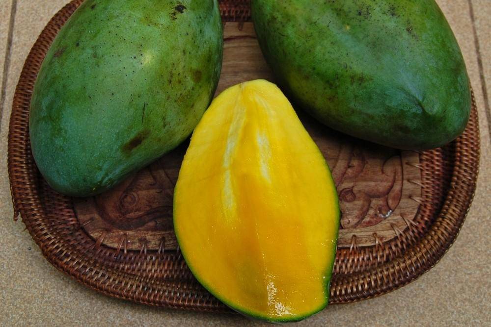 Potret mangga manalagi