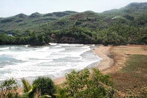 Pantai Konang wisata di Trenggalek