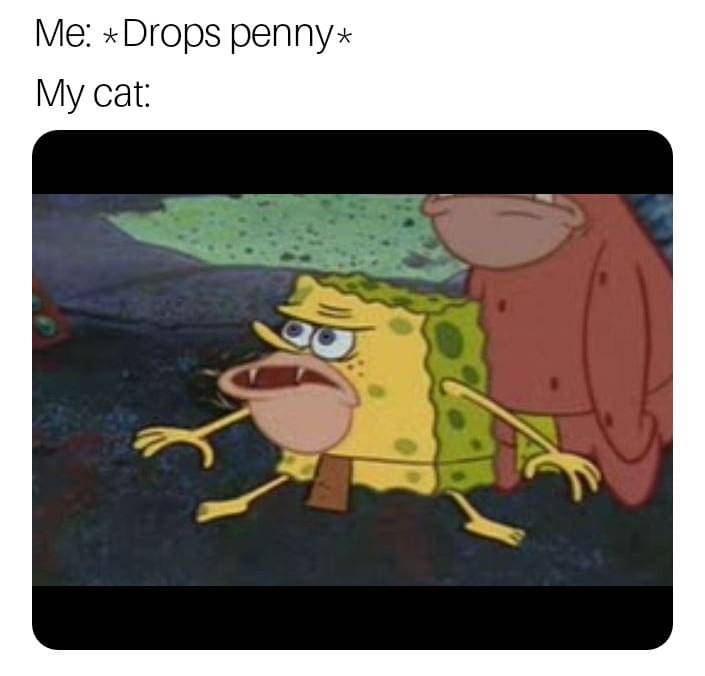 meme SpongeBob tentang uang koin