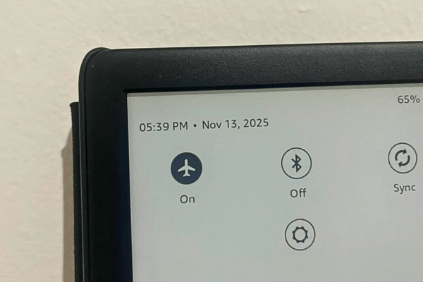 Kindle (dok. Reddit/SleepyWiseCat)